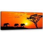 Bilder Elefanten Afrika Sonnenuntergang 120 x 40 cm