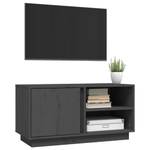 TV-Schrank D813 Grau - Massivholz - 35 x 41 x 80 cm