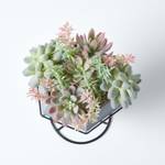 K眉nstlicher Succulenten Arrangement