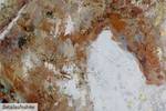 Tableau peint à la main Puissant géant Beige - Bois massif - Textile - 120 x 80 x 4 cm
