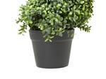 Kunstpflanze BUXUS SPIRAL TREE 30 x 98 x 30 cm