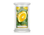 Candle Gro脽e Citrus and Sage Classic