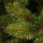 Weihnachtsbaum Jutesack Forest Frosted 46 x 60 x 46 cm