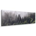 3D Wald im Nebel B盲ume Panoramabild