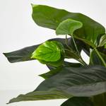 Philodendron Kunstpflanze im Topf