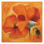 Orange Mohnblumen Wandbilder Blume