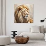 KUNSTDRUCK Splendor Gaze of the Lion 30 x 30 cm