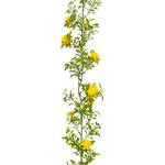 Kunstgirlande Gänseblümchen Gelb - Kunststoff - 10 x 4 x 180 cm