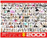 Teile 2000 Katze Puzzle