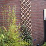 Garten Gitter Bambus Braun - Bambus - 100 x 200 x 100 cm