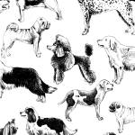 Papier Peint Pour Enfants CHIENS Animaux 400 x 280 x 280 cm