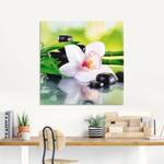 Glasbild Spa Steine Bambus Orchidee 125 x 50 cm