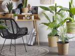 Plante artificielle ARECA PALM 12 x 124 x 12 cm