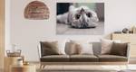 Image Sur Toile CHAT Animal Nature 3D 90 x 60 x 60 cm