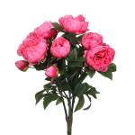 Fleur artificielle Pioenrozen Rose foncé