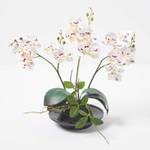 wei脽e Phalaenopsis-Orchidee K眉nstliche