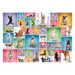 Puzzle Yoga Dogs 1000 Teile Papier - 26 x 6 x 36 cm