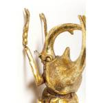 Wandschmuck Atlas Beetle Gold Gold - Kunststoff - 26 x 35 x 15 cm