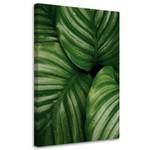 KUNSTDRUCK Monstera Leaves with Dew 2 40 x 60 cm