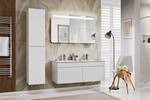 Armoire sous lavabos ICONIC CUW100 1D Blanc