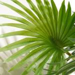 Dekopflanze Palme 120 cm