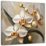 KUNSTDRUCK Golden Orchids 2 40 x 40 cm