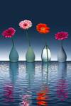 Tableau fleurs vases jolies fleurs 30 x 45 cm - Verre