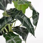 Plante artificielle Alocasia Vert - Matière plastique - Textile - 30 x 60 x 30 cm