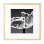 Photo d`art limitée Flower of Cordiality Noir - Blanc - Verre - Papier - 50 x 50 x 3 cm