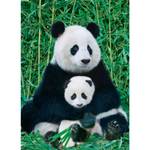 Teile Die Panda 1000 Puzzle Familie