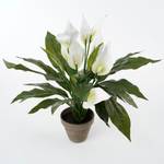 Kunstpflanze Spathiphyllum