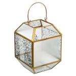 Laterne 62963 Gold - Glas - 14 x 20 x 14 cm