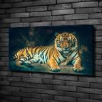 Wandbild Tiger in Höhle Orange - Textil - Holz teilmassiv - 100 x 50 x 4 cm