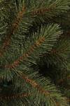 Bristlecone Weihnachtsbaum
