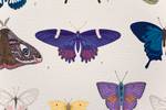 Leinwand 60x40 Schmetterlinge färben Textil - 3 x 60 x 40 cm