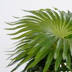 Kunstpflanze Palmen Grün - Stein - Textil - 35 x 40 x 35 cm