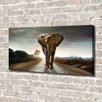 Wandbild Elefant 140 x 70 cm