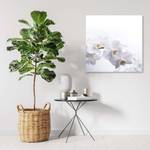 Leinwandbild Weiße Orchidee Natur Zen 50 x 50 cm