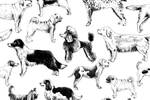 Papier Peint Pour Enfants CHIENS Animaux 400 x 280 x 280 cm