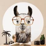 Hippes Lama mit Brille IV 122 x 122 cm