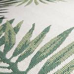 Cycas Wohnteppich Palm