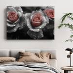 Bild Rose Blumen III 120 x 80 cm