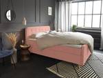 Nordic Box Boxspringbett TSV Pink - Rosé - Breite: 182 cm - H2