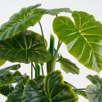 Plante artificielle Alocasia Vert - Textile - 50 x 100 x 50 cm