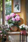 Pot de fleurs Daan Rose foncé - Céramique - 22 x 21 x 22 cm