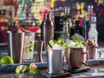 Moscow Becher Mule APS