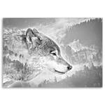 Grau Leinwandbild Wald Wolf Tiere