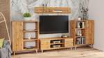 Tv lowboard FOCUS RTV155 2D Beige - Eiche