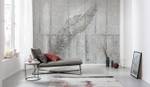 Fototapete Concrete Feather 611642 Grau - Naturfaser - Textil - 350 x 250 x 250 cm