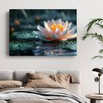 Bild Lotus Blumen VIII 40 x 30 cm